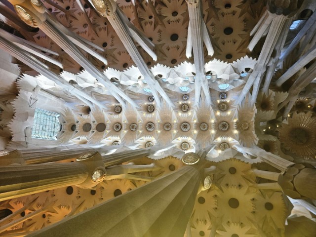 20260223_154833.jpg